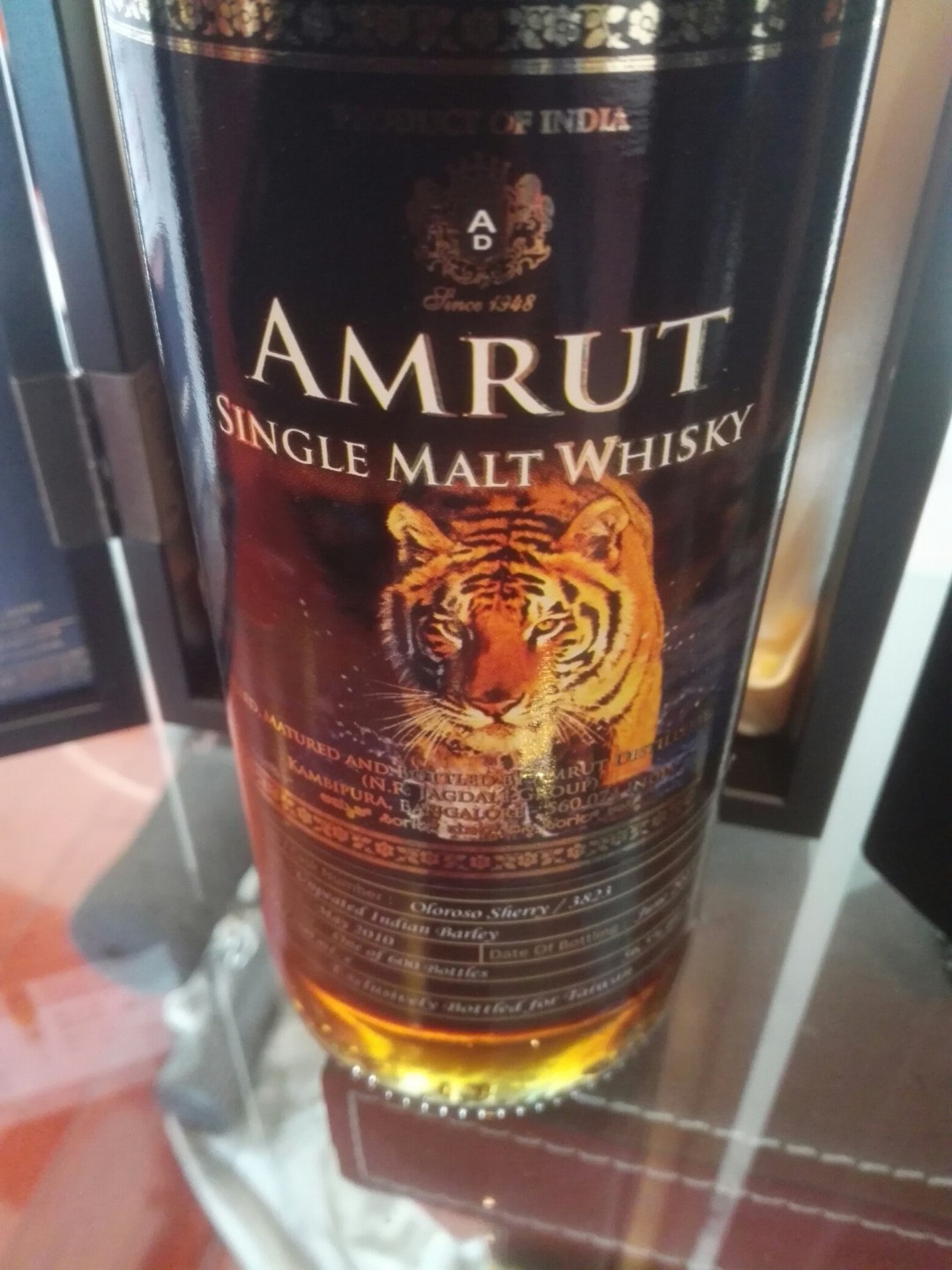 两只老虎，mma银牌