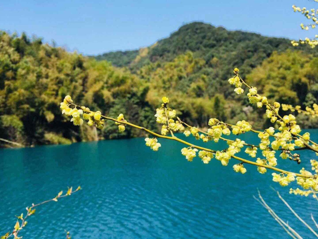 酒虫踏春之春暖花开<img src='https://sdata.whiskyworm.com/xcxpics/emoji_13.png' class='emoji' />