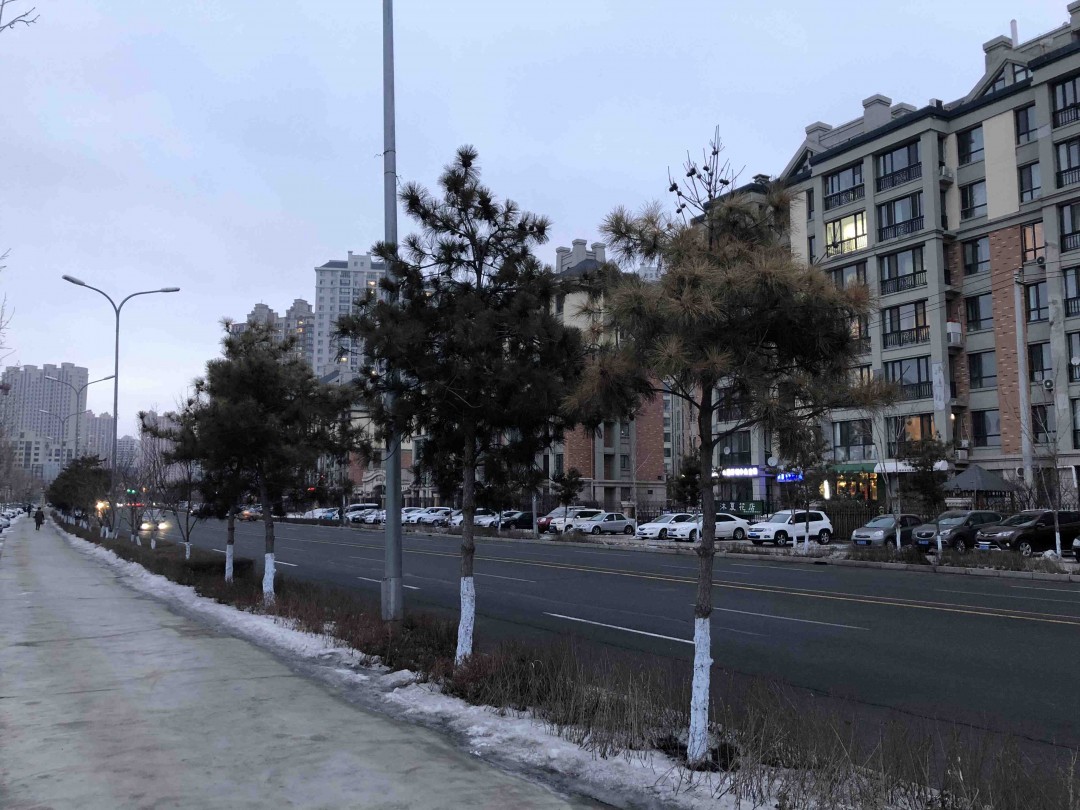 酒虫踏春之春潮涌动