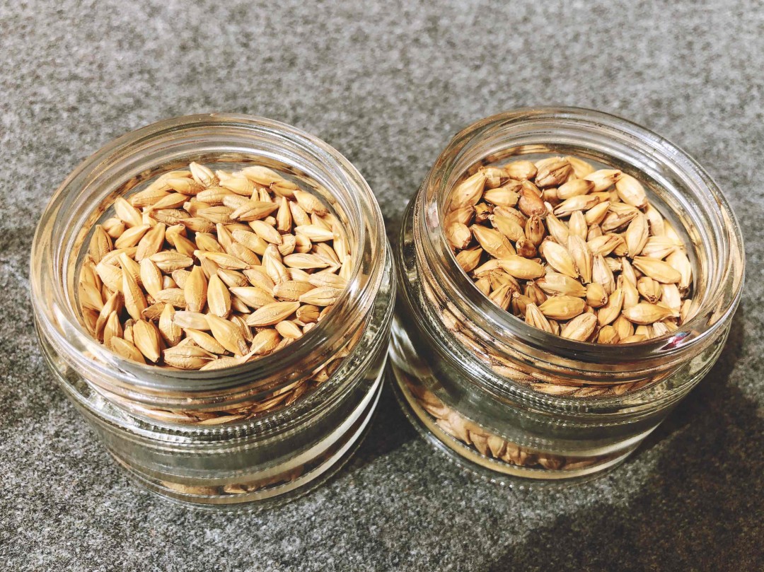 亲们，我是一名新手。有专家们能接受几个一般购买威士忌的渠道或者网站吗？我本人在东莞，也期待可以进入一个威士忌的圈子。