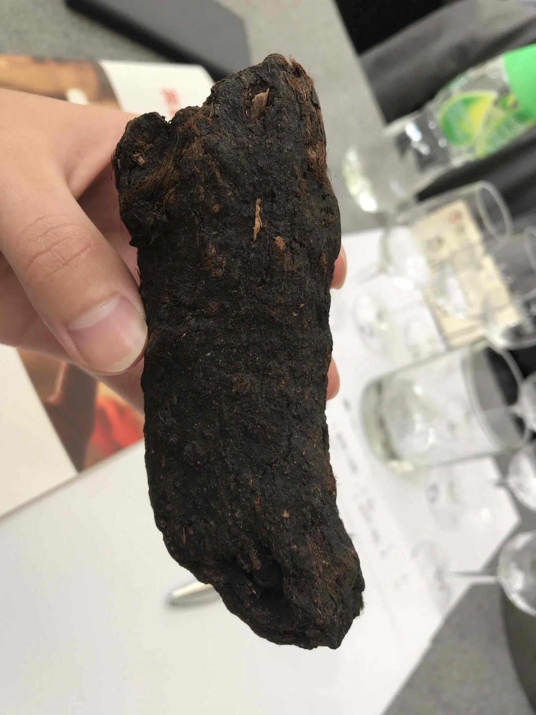 亲们，我是一名新手。有专家们能接受几个一般购买威士忌的渠道或者网站吗？我本人在东莞，也期待可以进入一个威士忌的圈子。