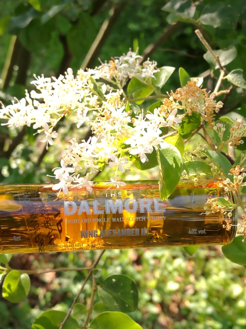 酒虫踏春之温柔乡中的国王