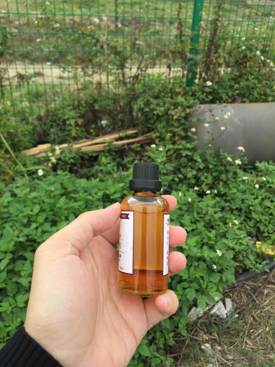 酒虫踏青之酒虫第一帖