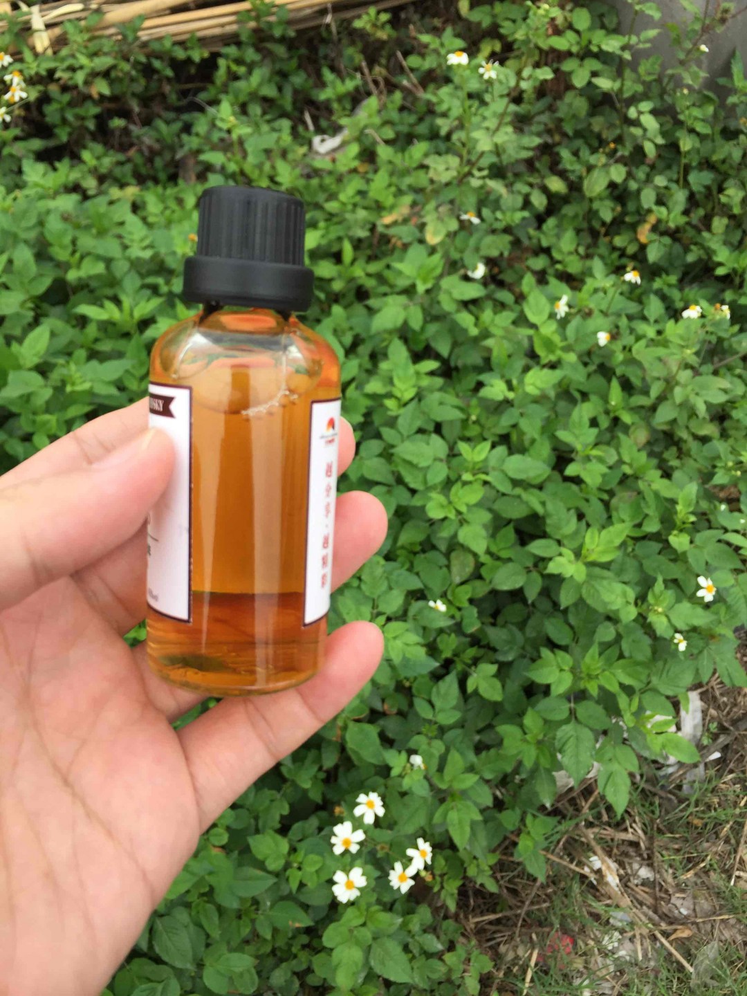 酒虫踏青之酒虫第一帖