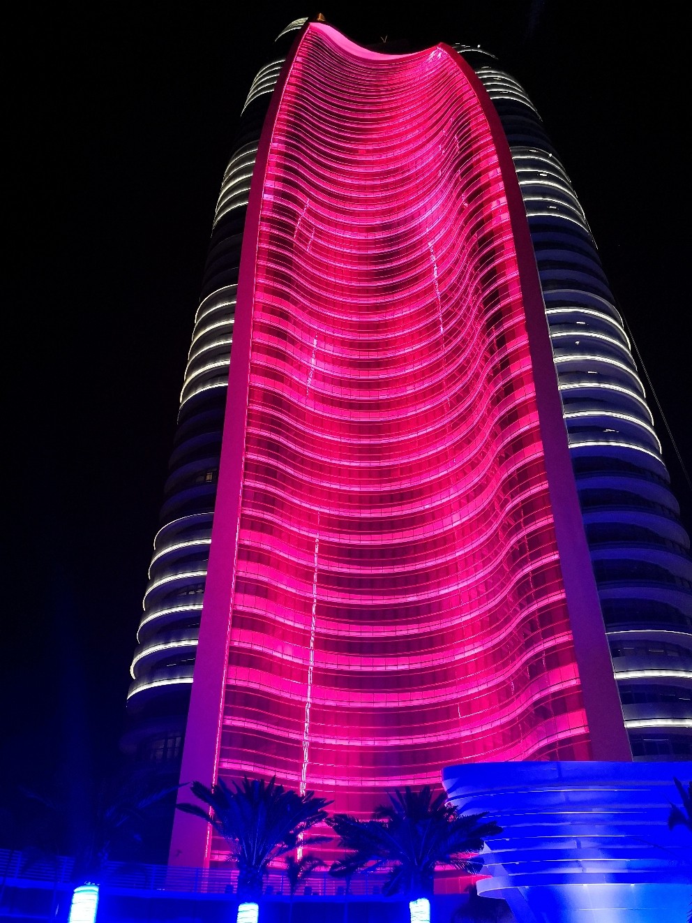 据说三亚有离岛免税政策，那么问题来了，有什么好酒值得买～