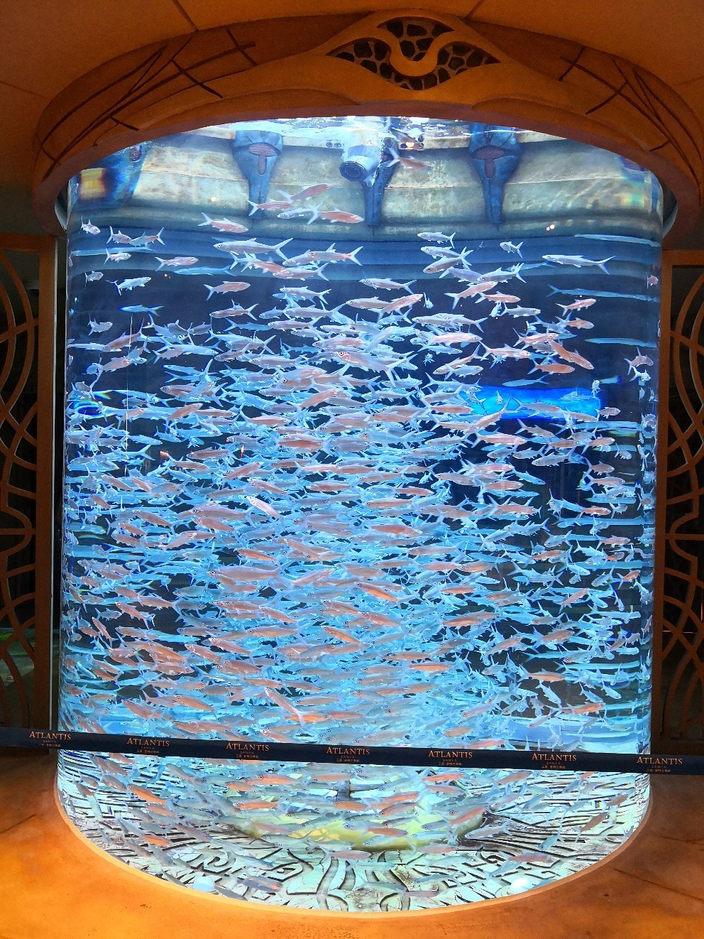 据说三亚有离岛免税政策，那么问题来了，有什么好酒值得买～