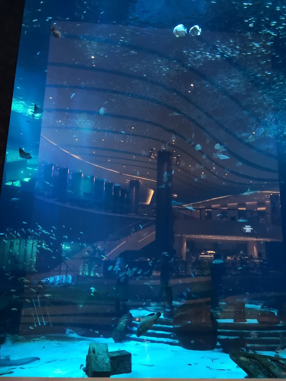 据说三亚有离岛免税政策，那么问题来了，有什么好酒值得买～