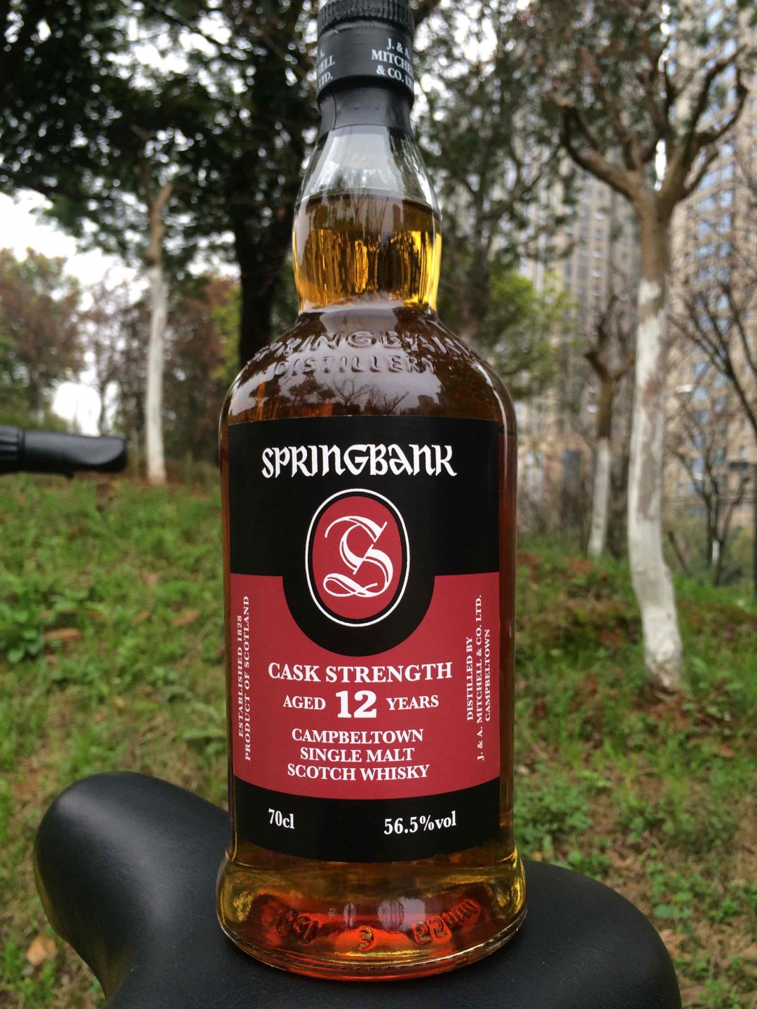 酒虫踏青之 半日闲