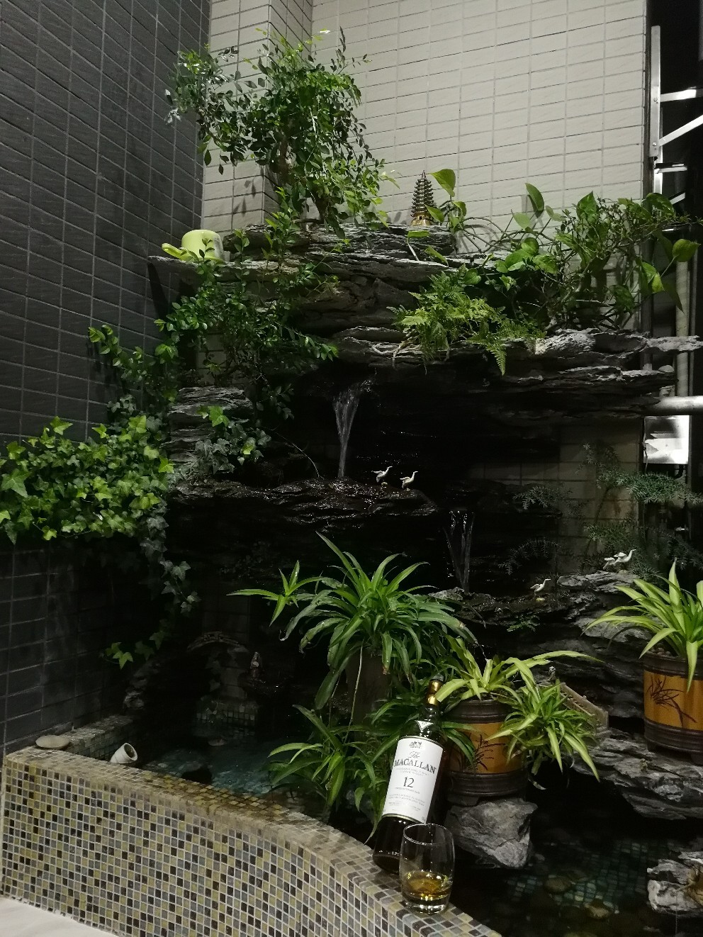 纯分享，求指正