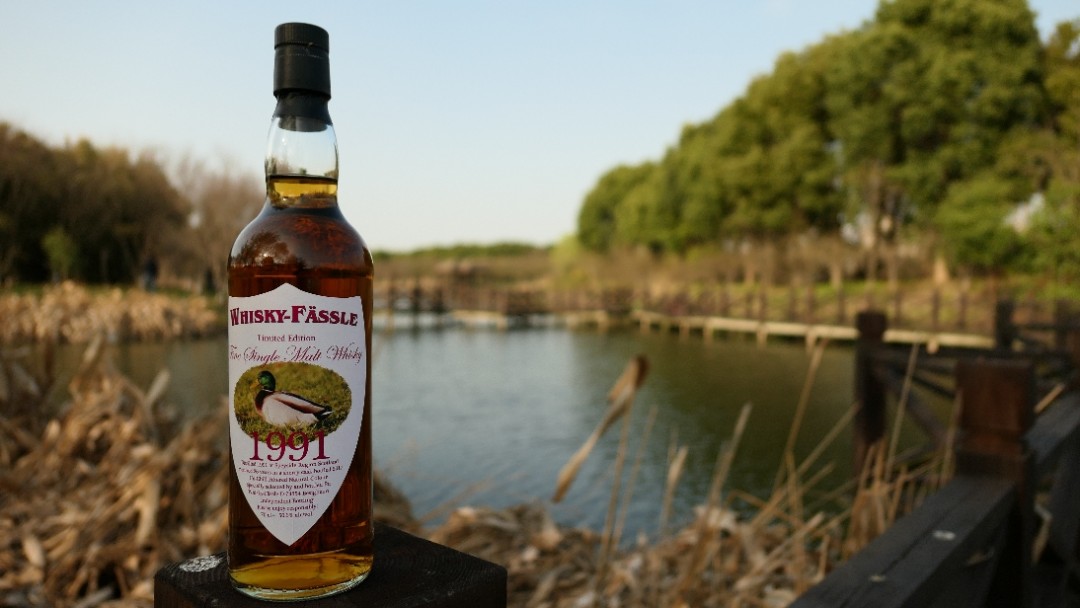 酒虫踏春，春江水暖鸭先知