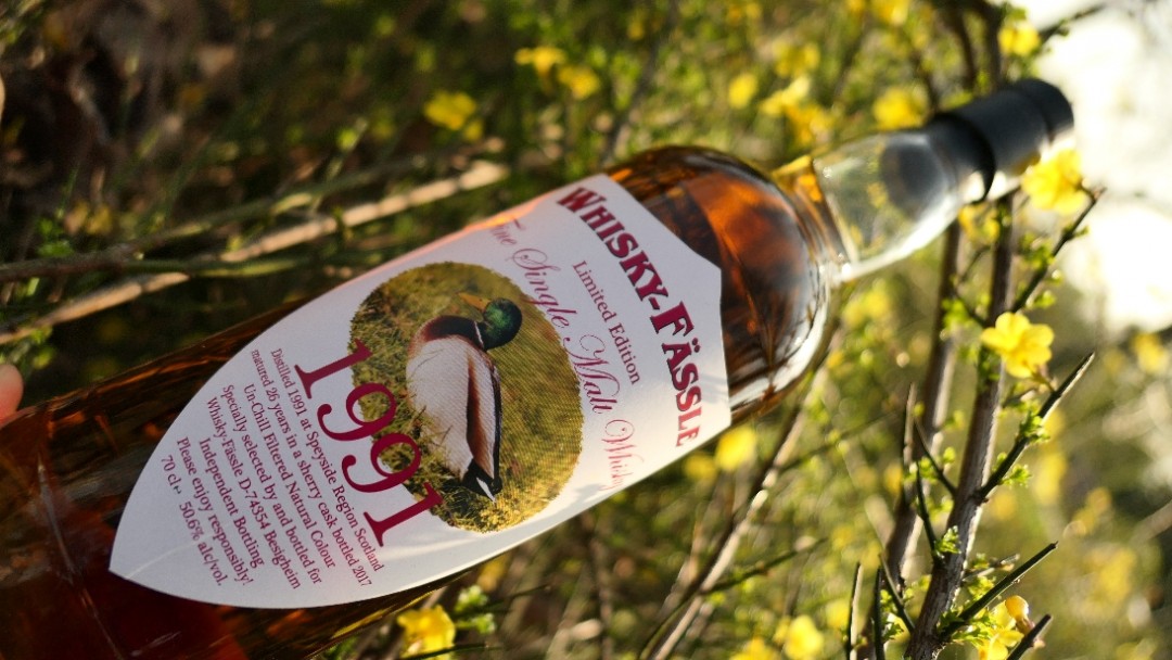 酒虫踏春，春江水暖鸭先知