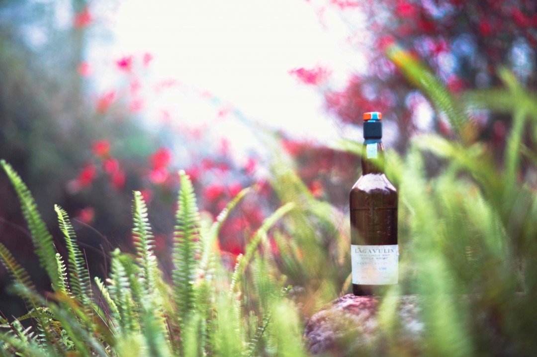 酒虫踏春之预演