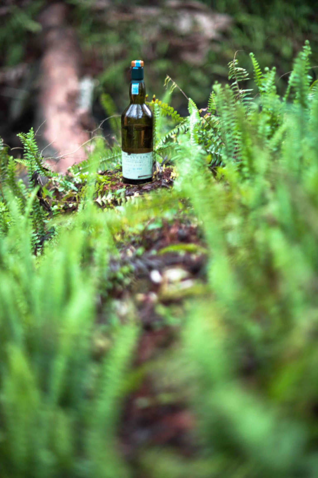 酒虫踏春之预演