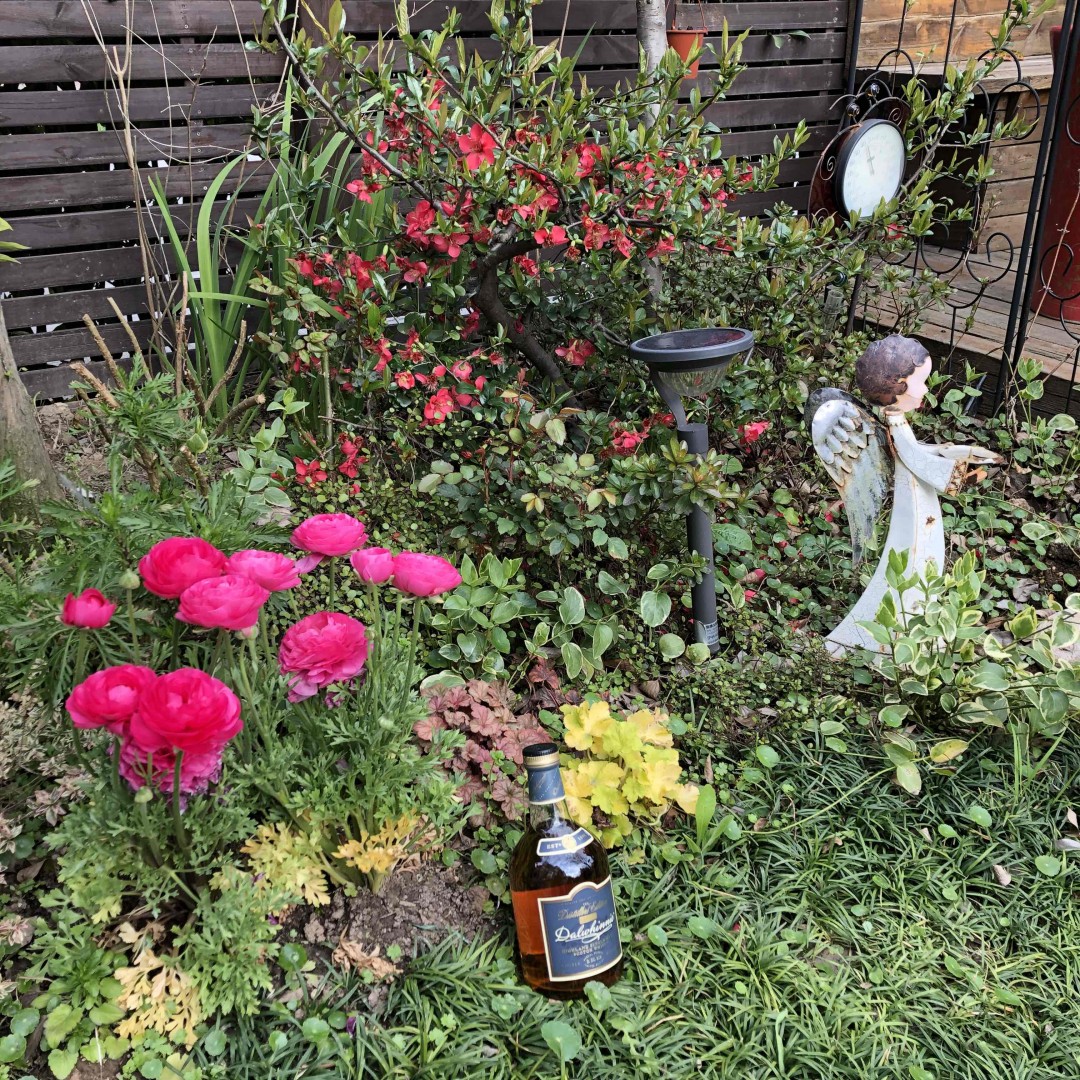 酒虫踏春之春暖花开