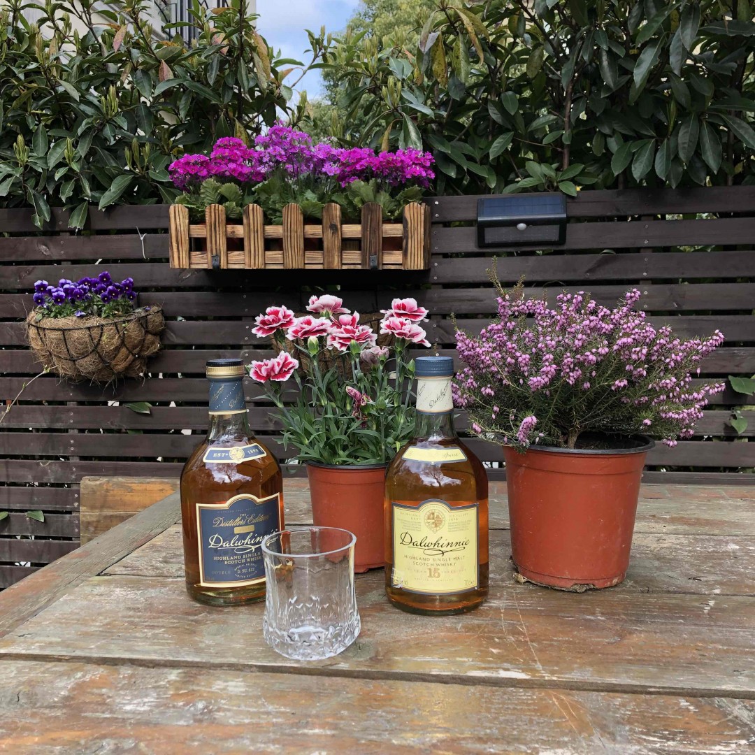 酒虫踏春之春暖花开