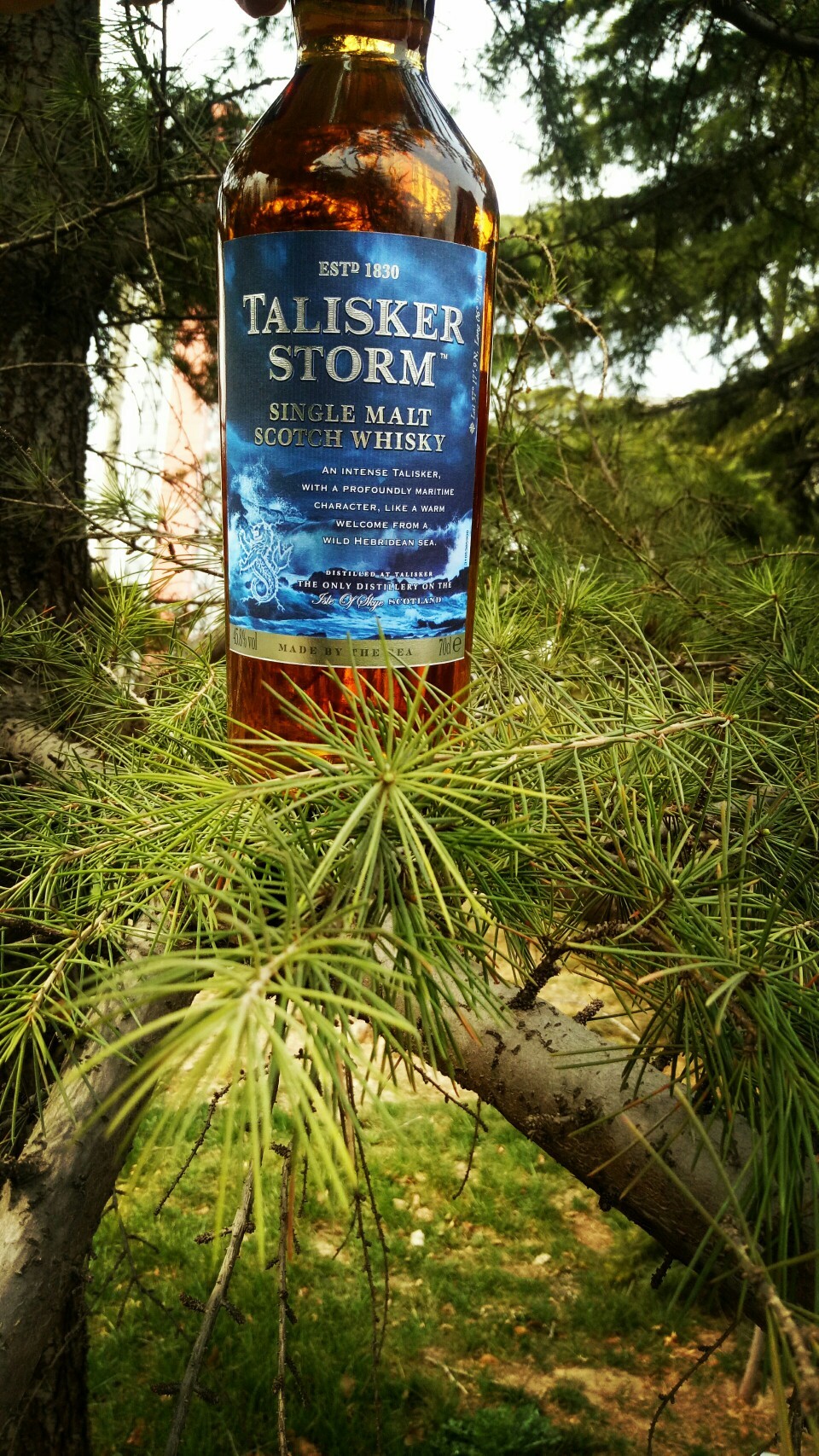 《酒虫踏春之公园行》