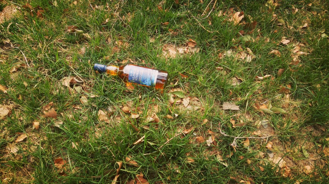 《酒虫踏春之公园行》