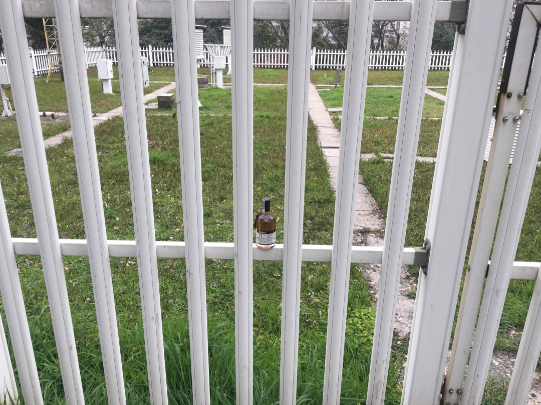 感谢酒🐛网活动踏春之旅。拍的不好