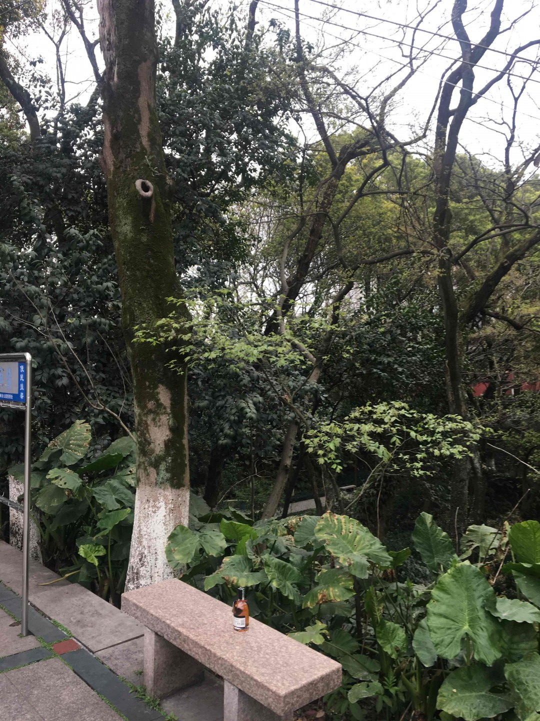 感谢酒🐛网活动踏春之旅。拍的不好