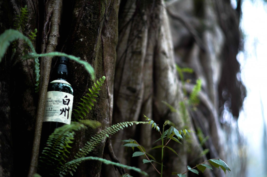 酒虫踏青之树林系