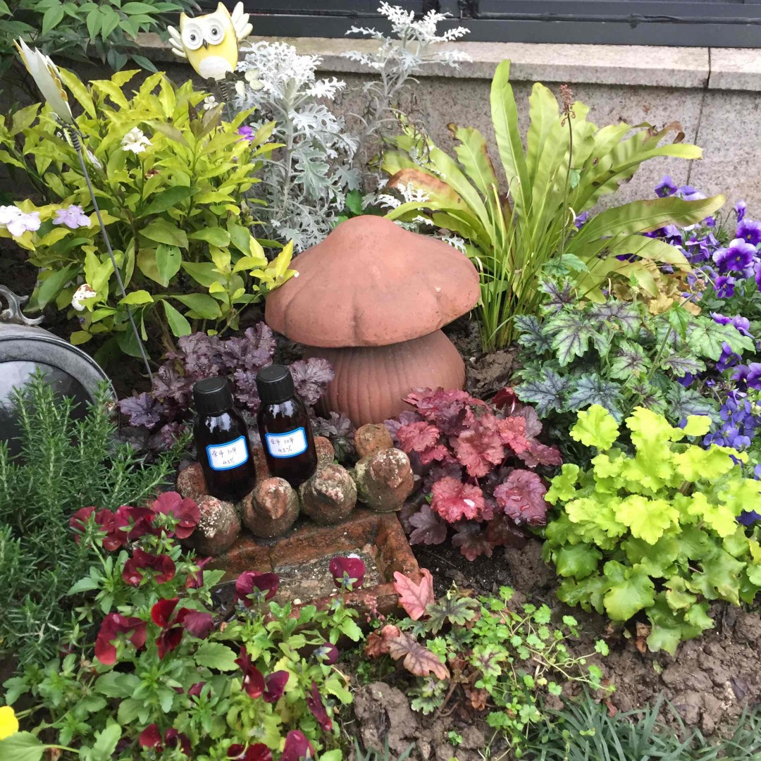 雨后青草香，口粮花中藏