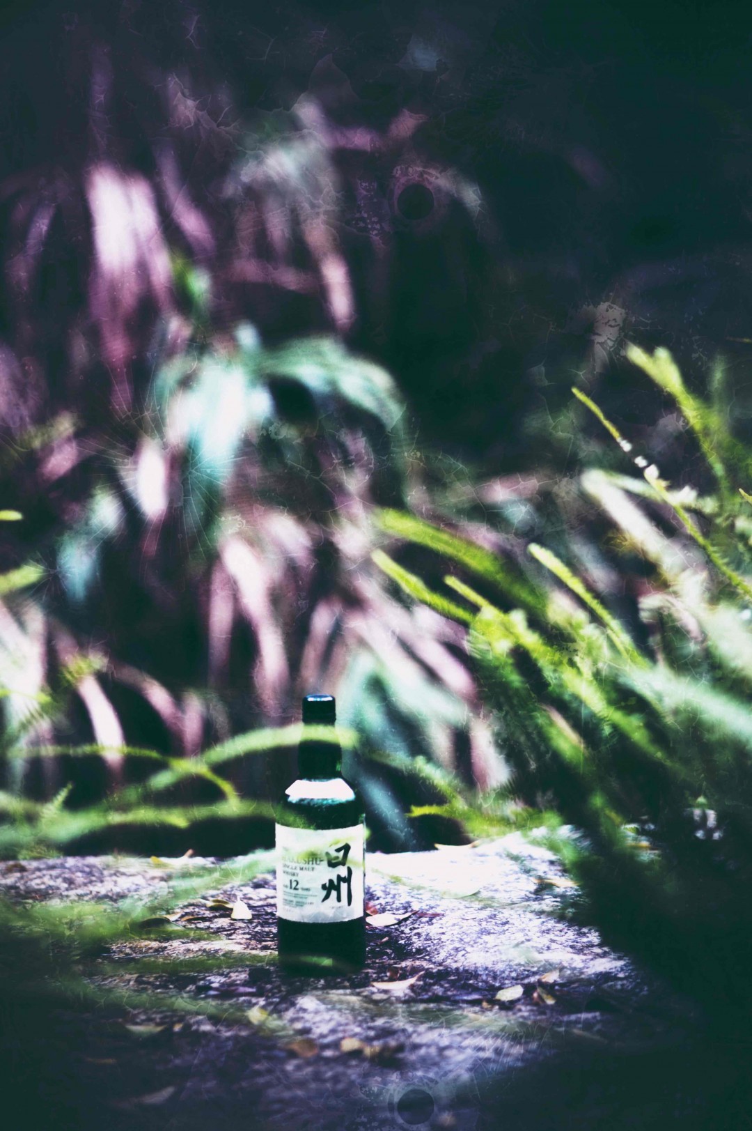 也是清早的味道