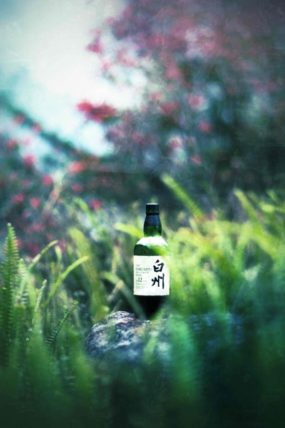 也是清早的味道