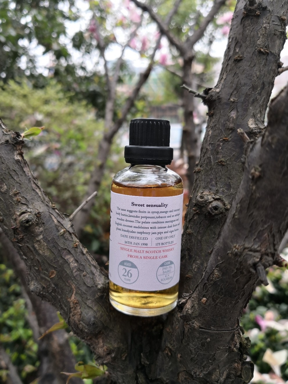 酒蟲踏春之奔跑吧分享瓶～