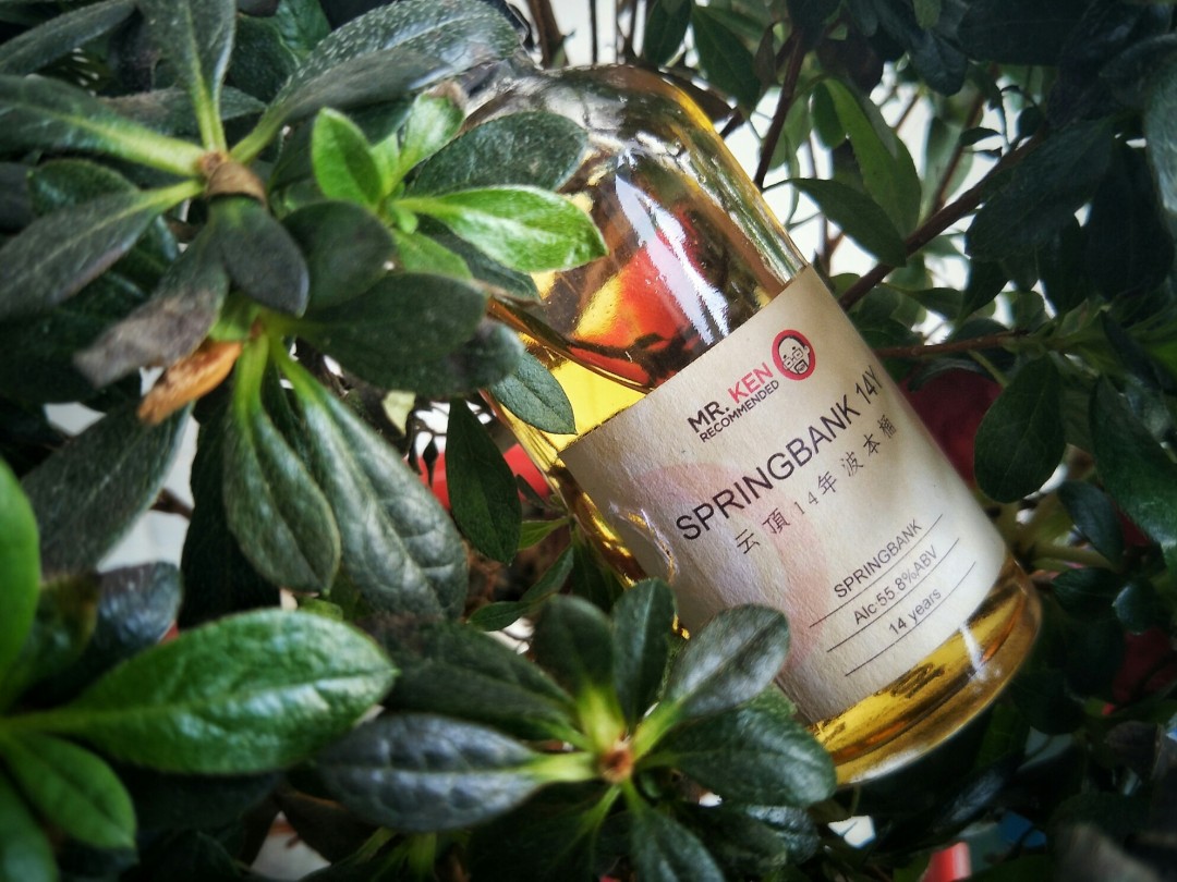 《酒虫踏春之绿叶盖云》