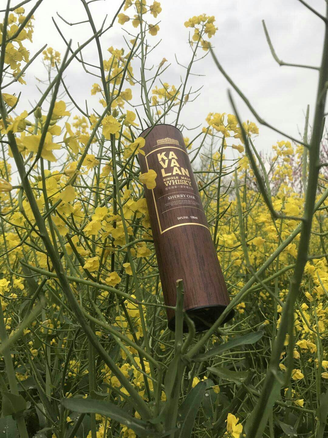 酒虫踏春之……嘎玛兰花开！ 春天踏青 ，金黄的油菜花盛开一片片 想起嘎玛兰最新获奖的雪莉桶。