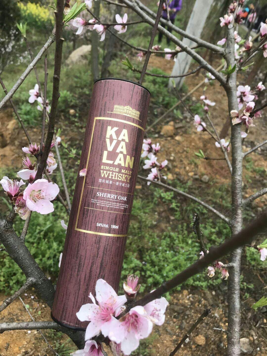 酒虫踏春之……嘎玛兰花开！ 春天踏青 ，金黄的油菜花盛开一片片 想起嘎玛兰最新获奖的雪莉桶。