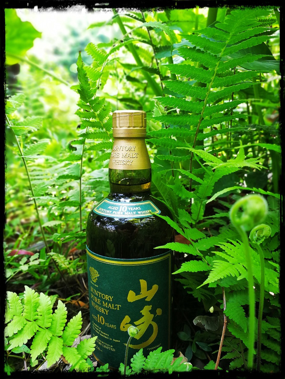 我也来酒虫踏一个春吧