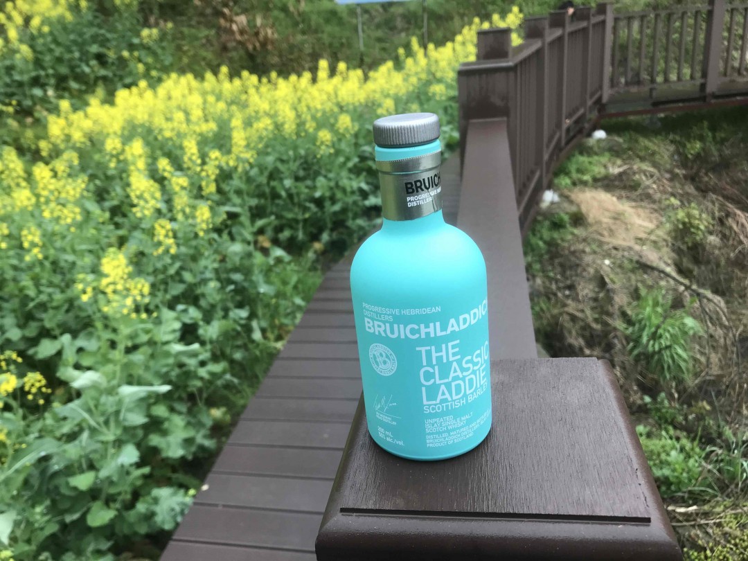 酒虫踏春之《也无风雨也无晴》