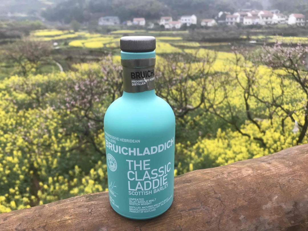 酒虫踏春之《也无风雨也无晴》