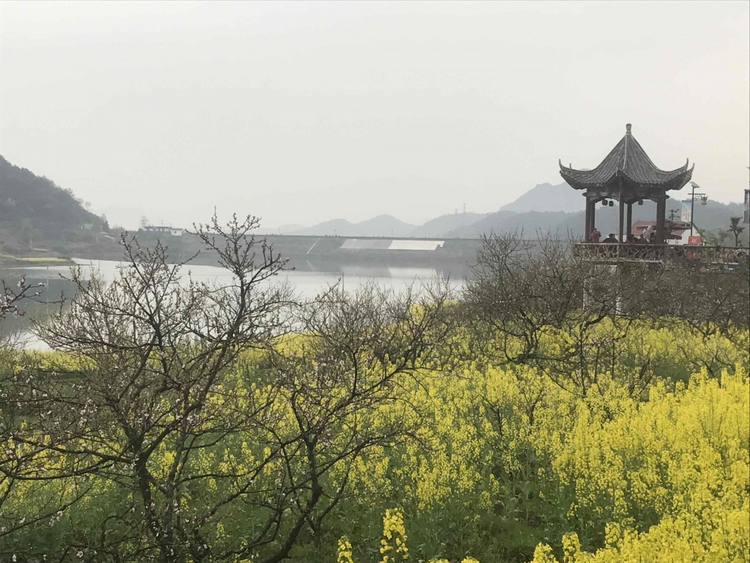 酒虫踏春之《也无风雨也无晴》