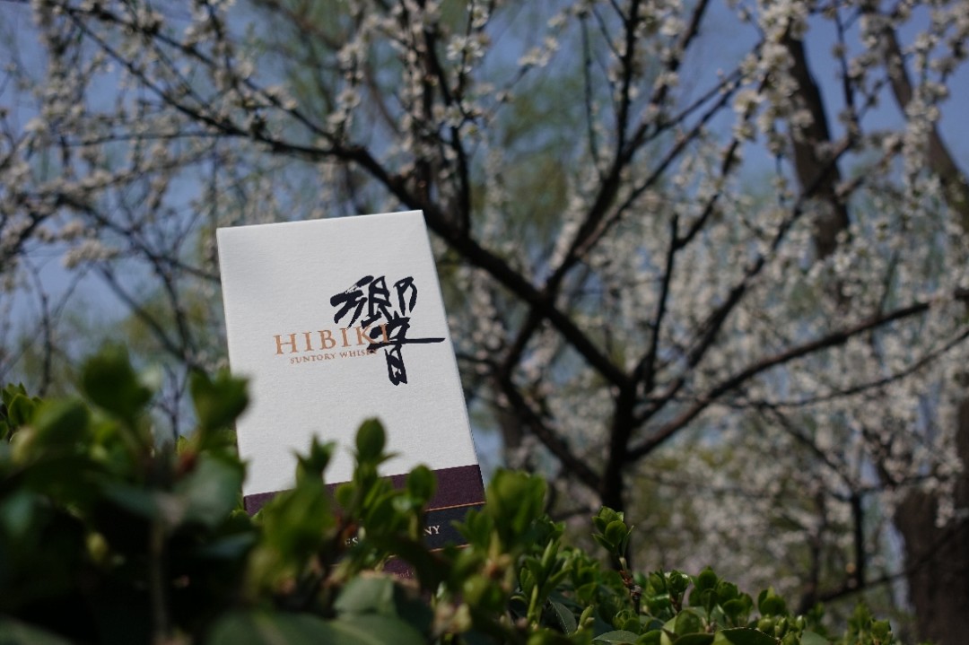 酒虫踏春之和风春韵