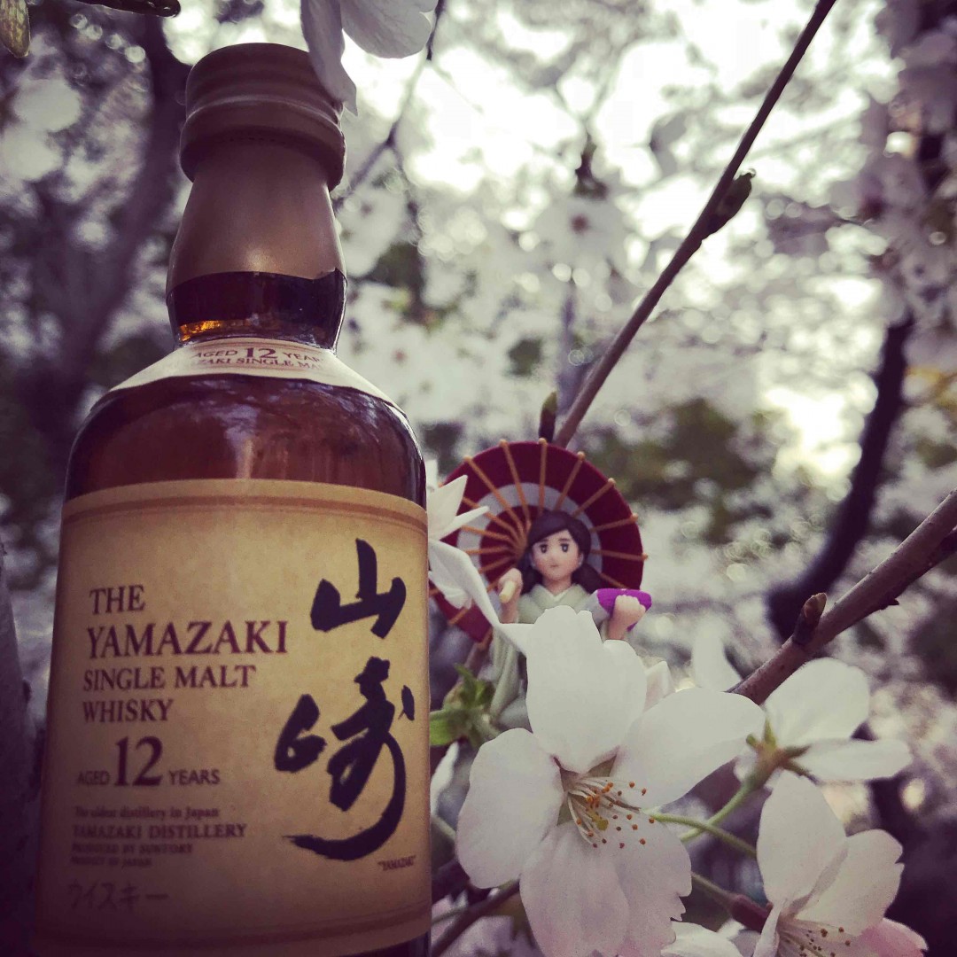 酒虫踏春之樱花烂漫