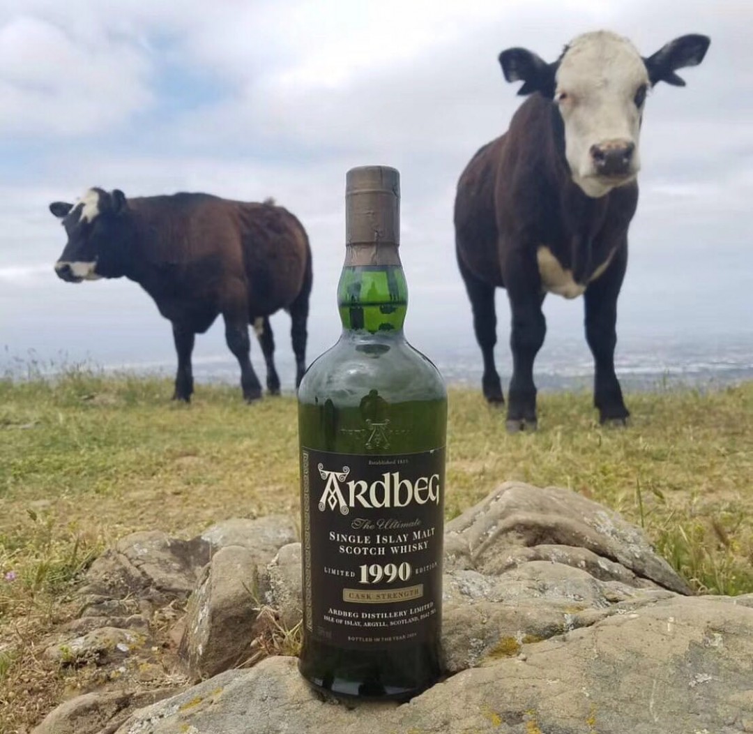 太尼玛喜欢90”年的泥煤了👍