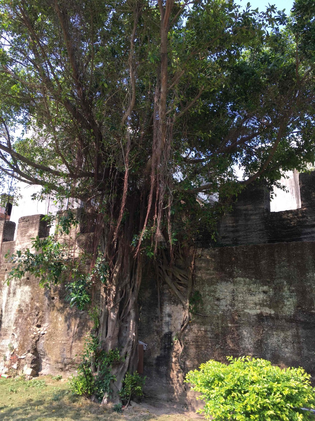 酒虫踏春之达濠古城