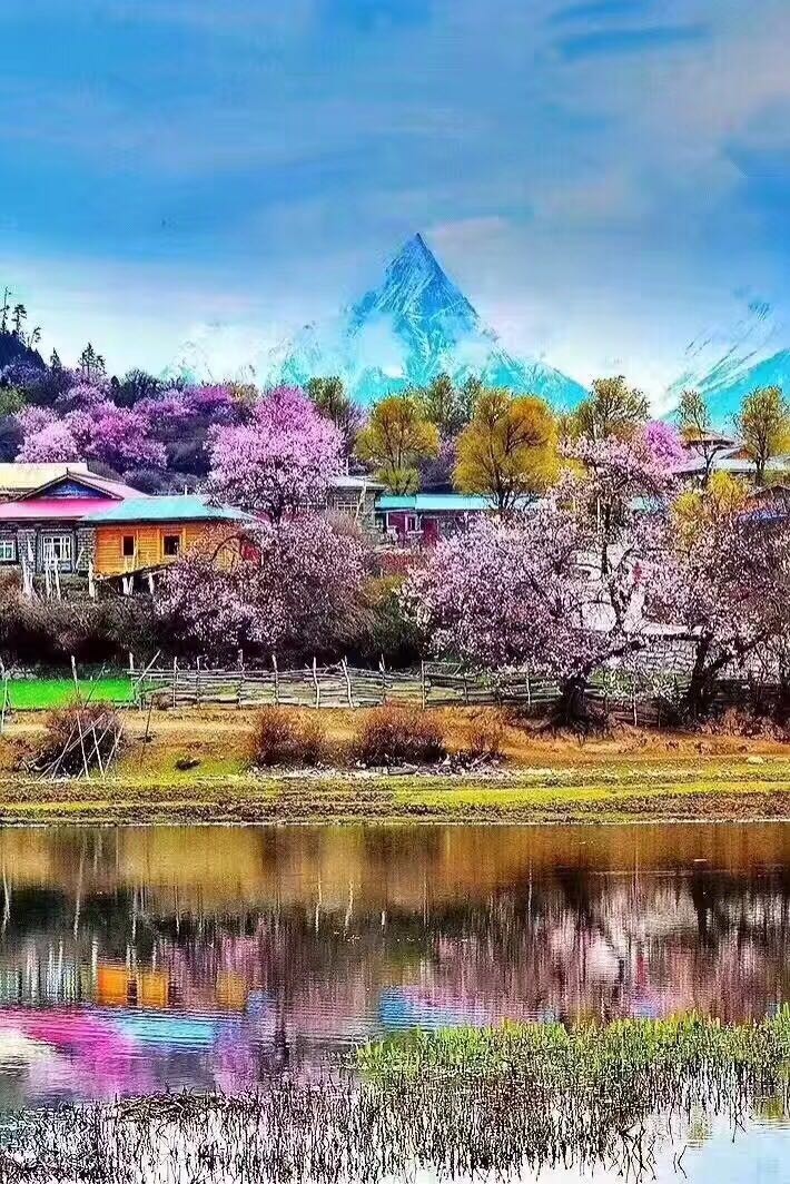 听说，林芝的桃花开了 ～