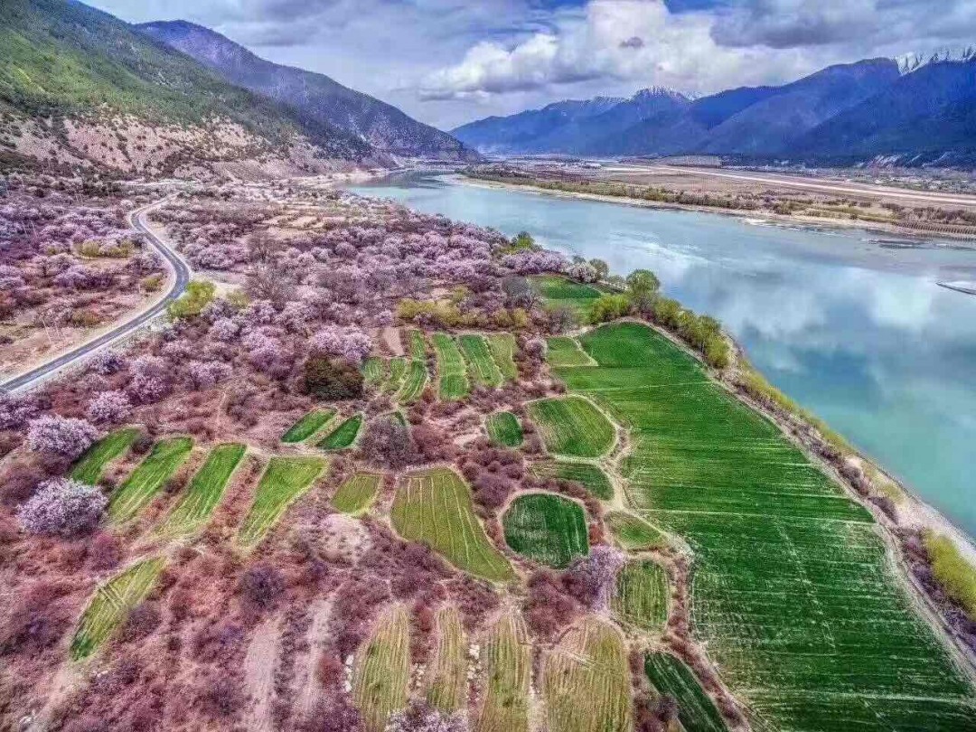 听说，林芝的桃花开了 ～