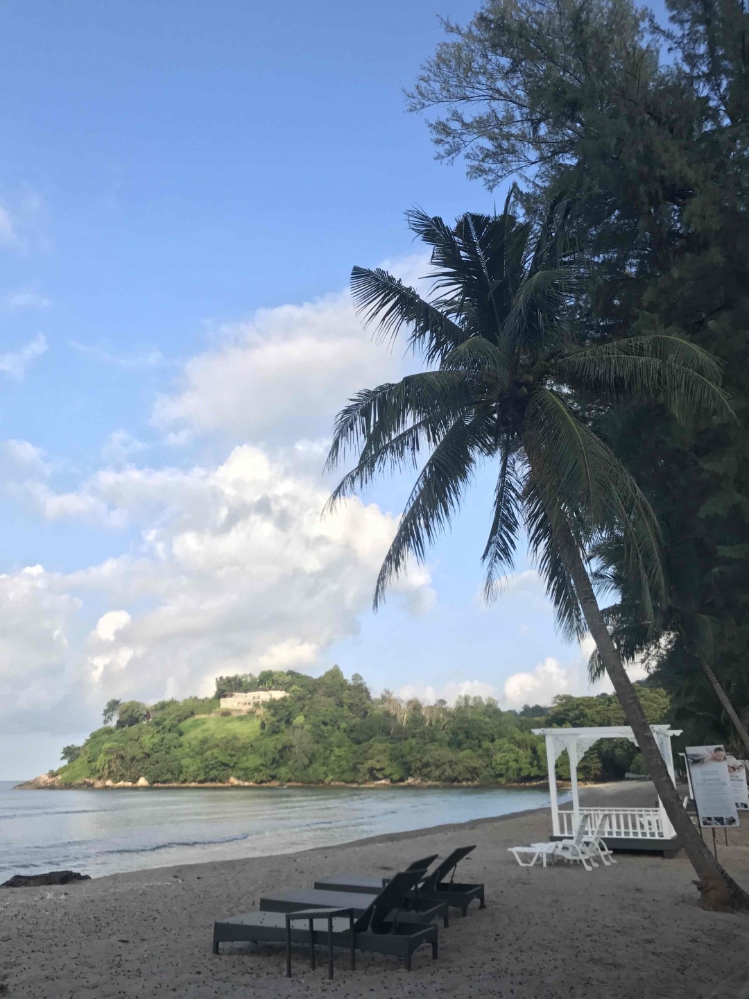 《酒虫踏春之满园春色关不住 酒香不怕巷子深》