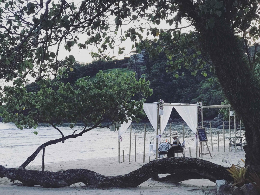 《酒虫踏春之满园春色关不住 酒香不怕巷子深》