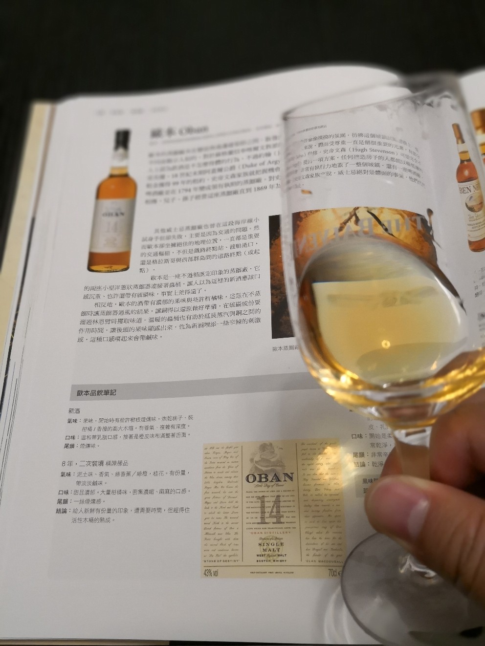 高地花田，oben14