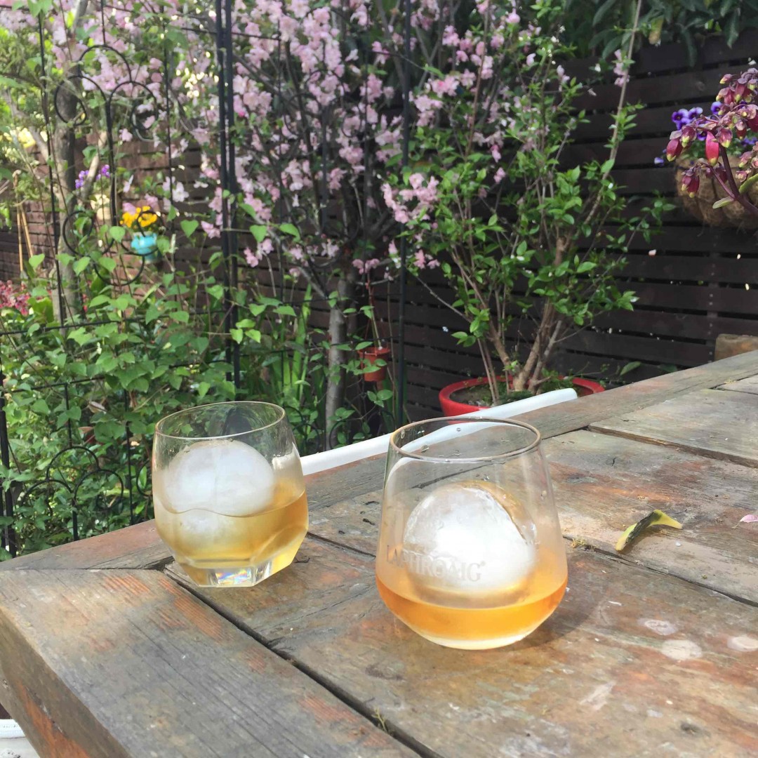 愚人不如愉人，节日快乐🍻