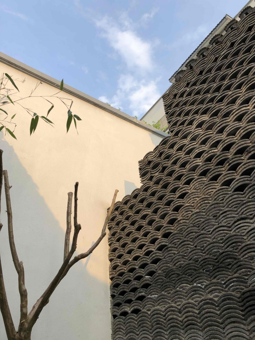 酒虫再踏春，送的雪茄套终于用了一次～