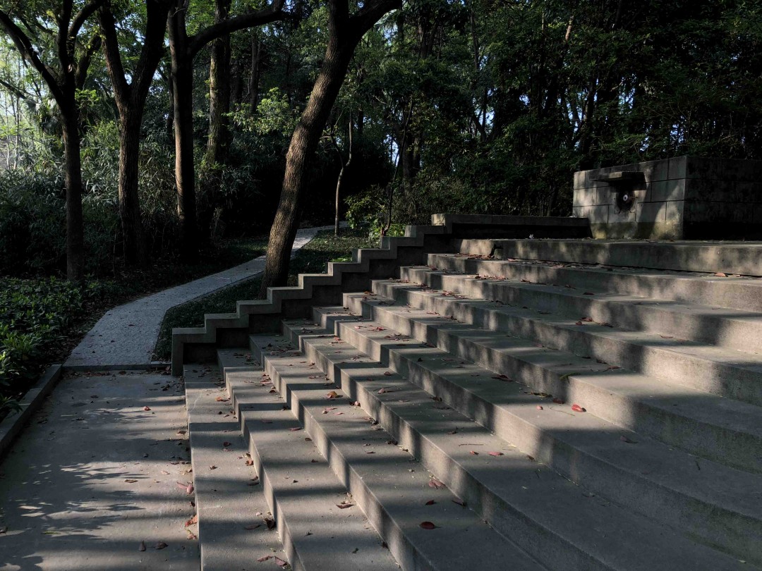 清晨浙大里，春意盎然，没有酒