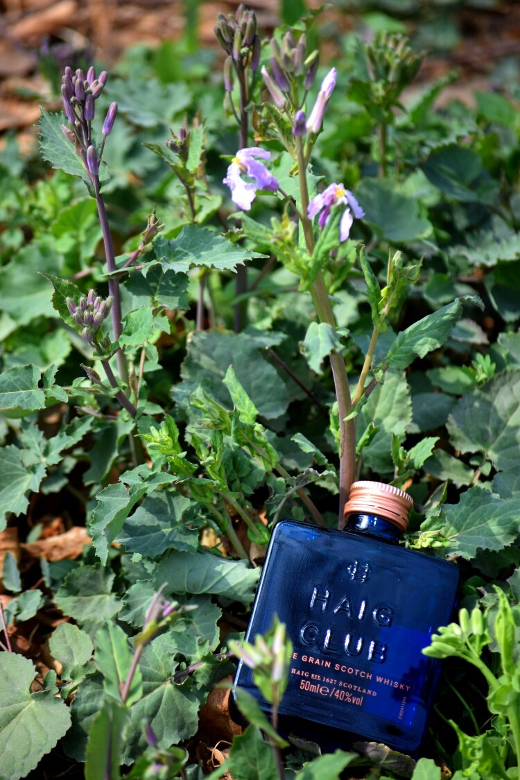 酒虫踏春之春意盎然行