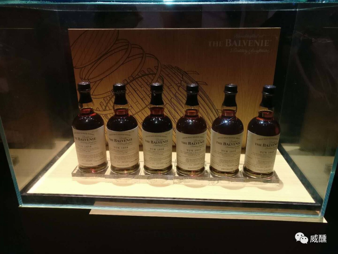 行動起來！！！