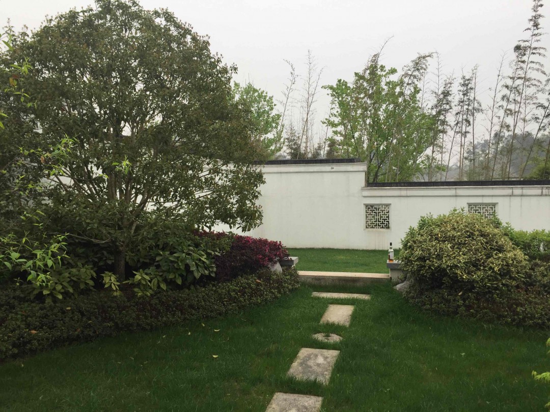 又是一年春色好，绿意丛中把酒找